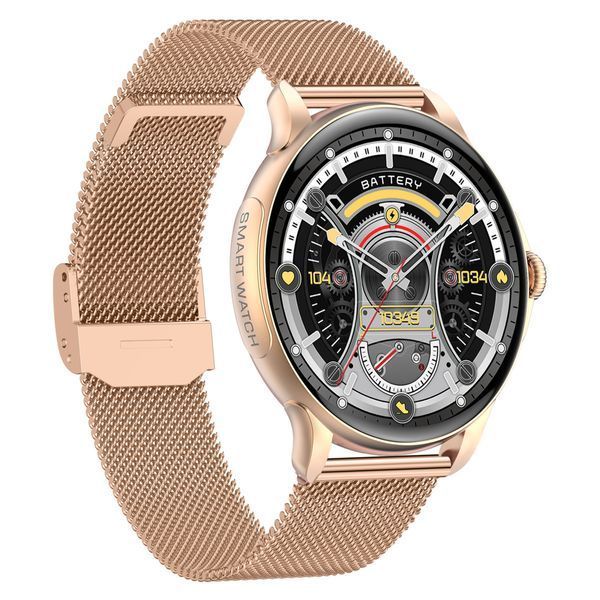 Smart Holiday Gold Steel, 2 ремешка 1745 фото